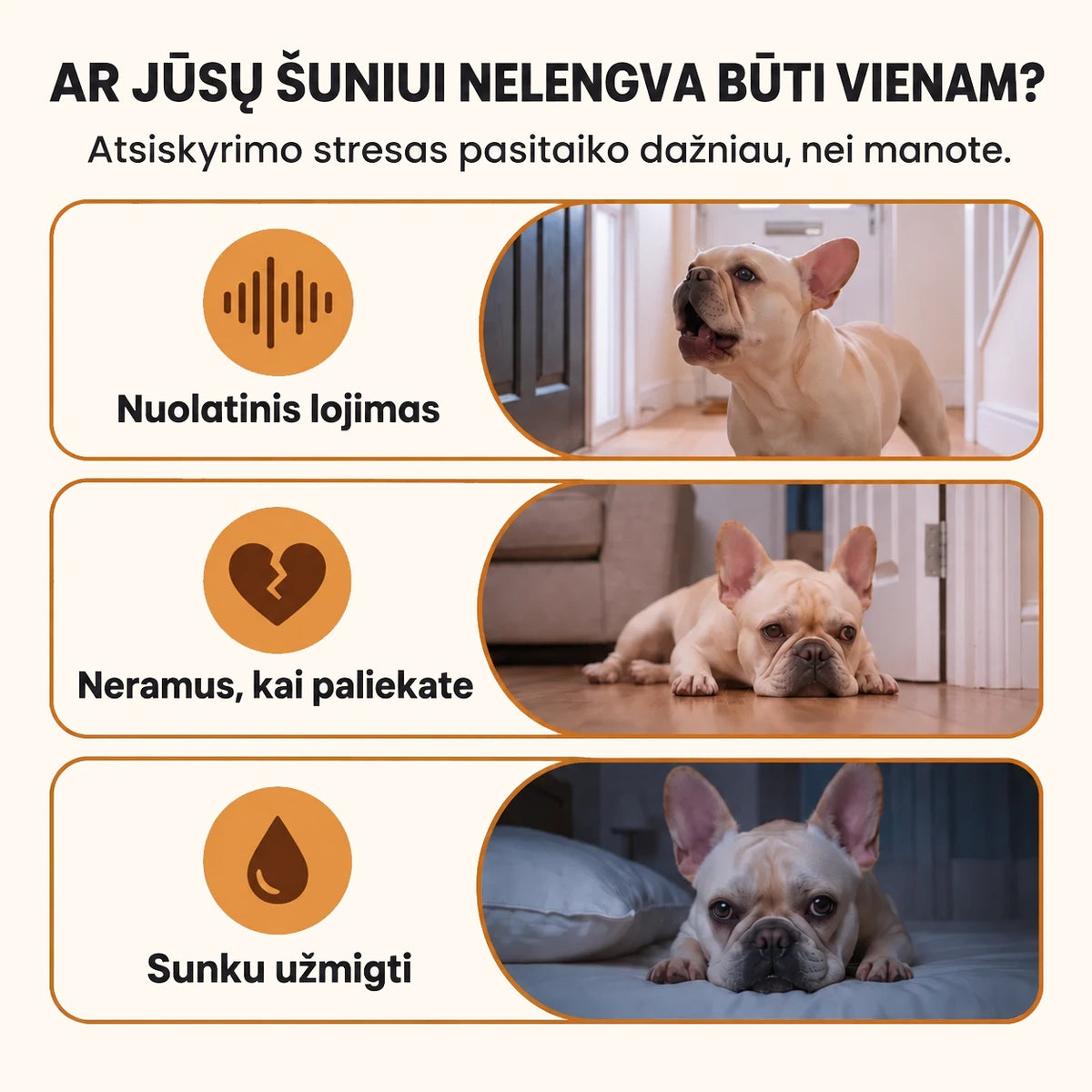 Šuns streso požymiai ir nerimą rodantis elgesys